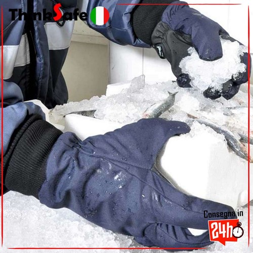 Guanti cella frigorifera - guanti,